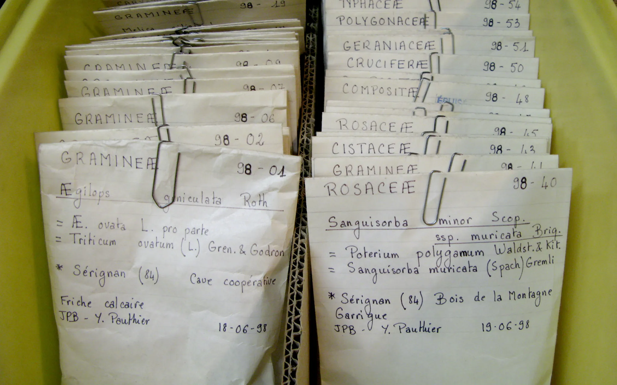 Conservation des graines en chambre froide