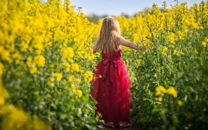 Petite fille avec une robe rouge dans un champ de colza