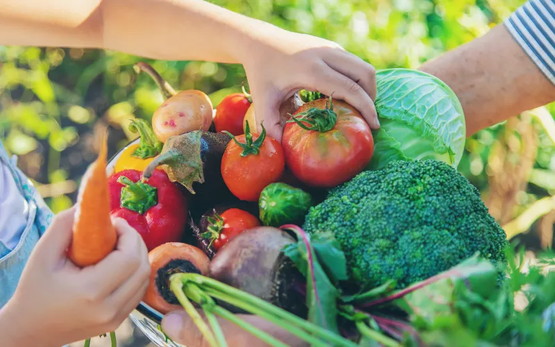 Photo de mains tenant des légumes