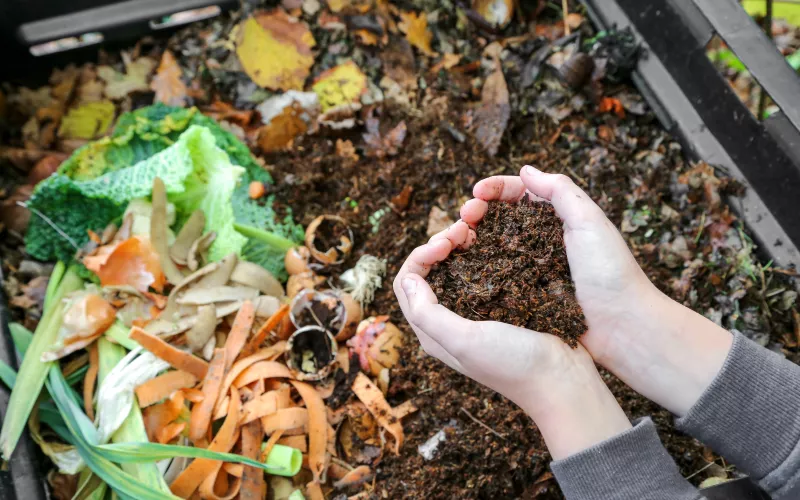 Mains tenant du compost