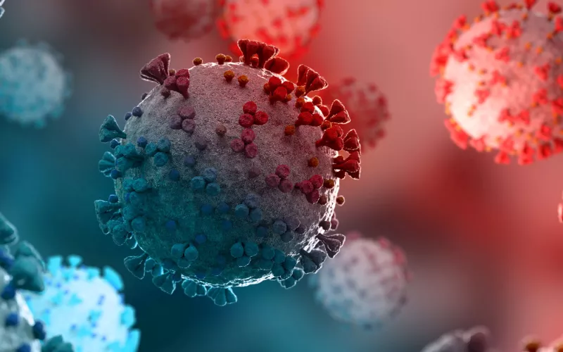 Coronavirus au microscope