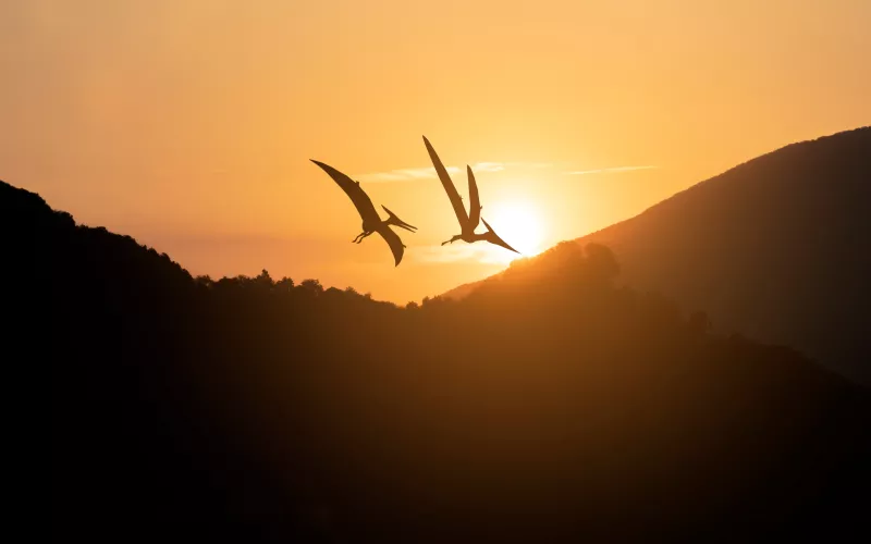 Deux ptérodactyles volant dans le ciel au coucher du soleil