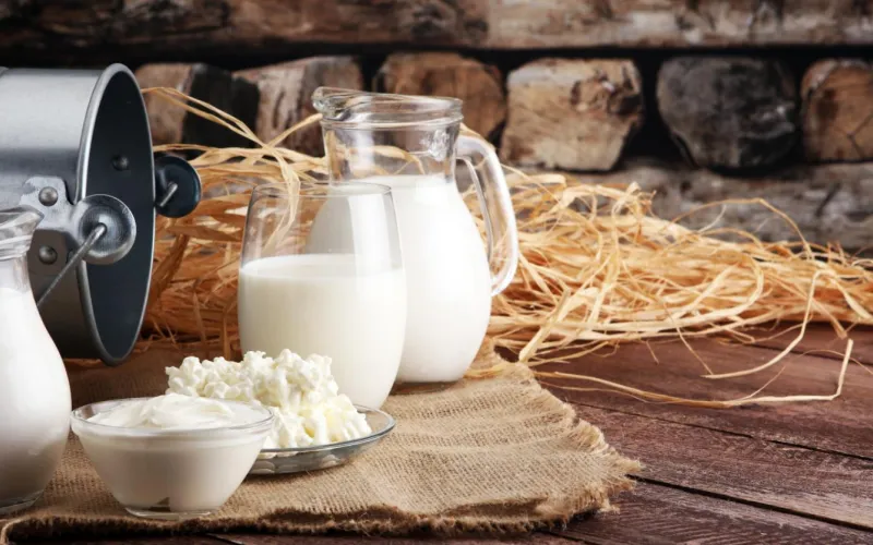 Lait et fromage
