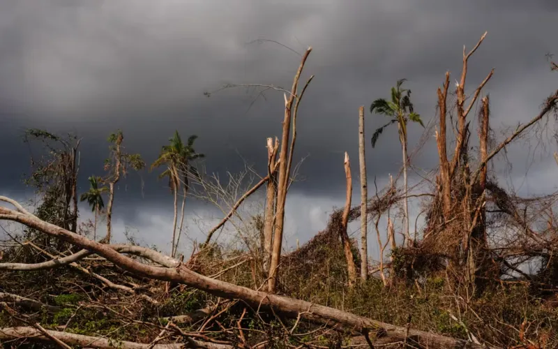 Le cyclone Chido a dévasté Mayotte