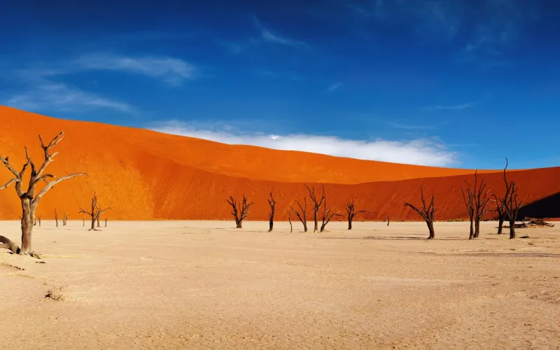 Désert Namib en Namibie