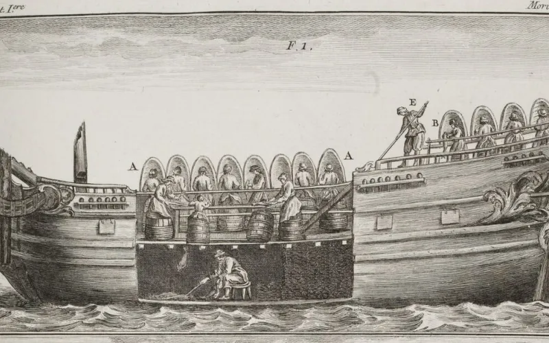 Organisation d'un morutier