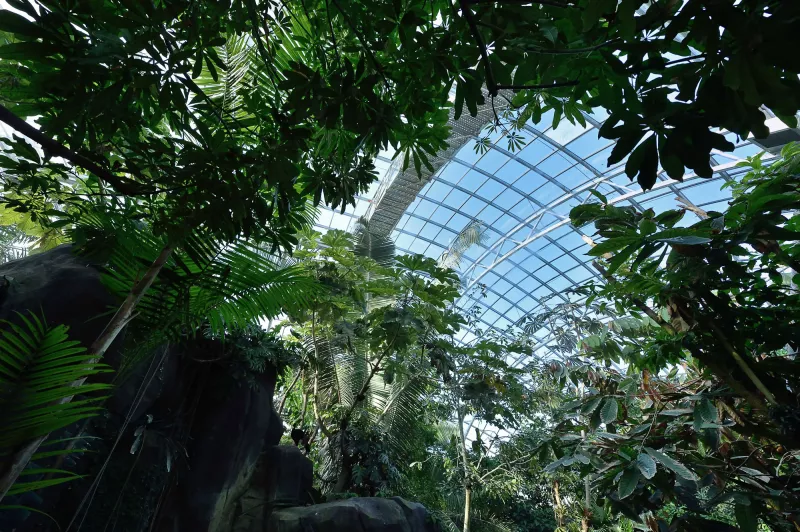 Grande Serre du Parc zoologique de Paris
