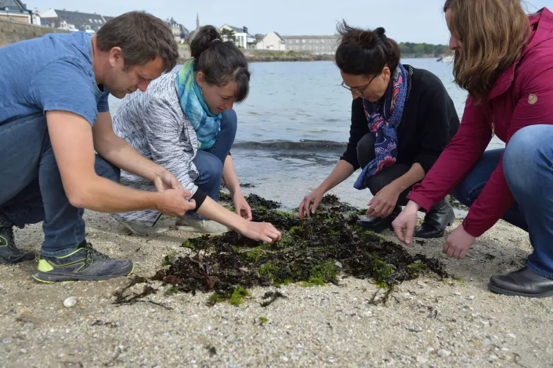 Sciences participatives - Station marine de Concarneau