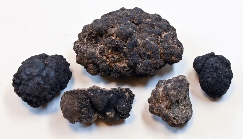 Nodules de manganèse